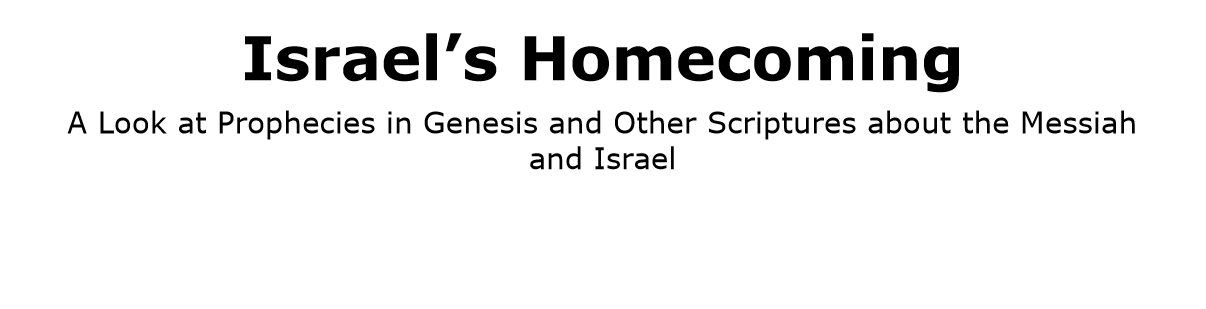 Israel's Homecoming title page snip