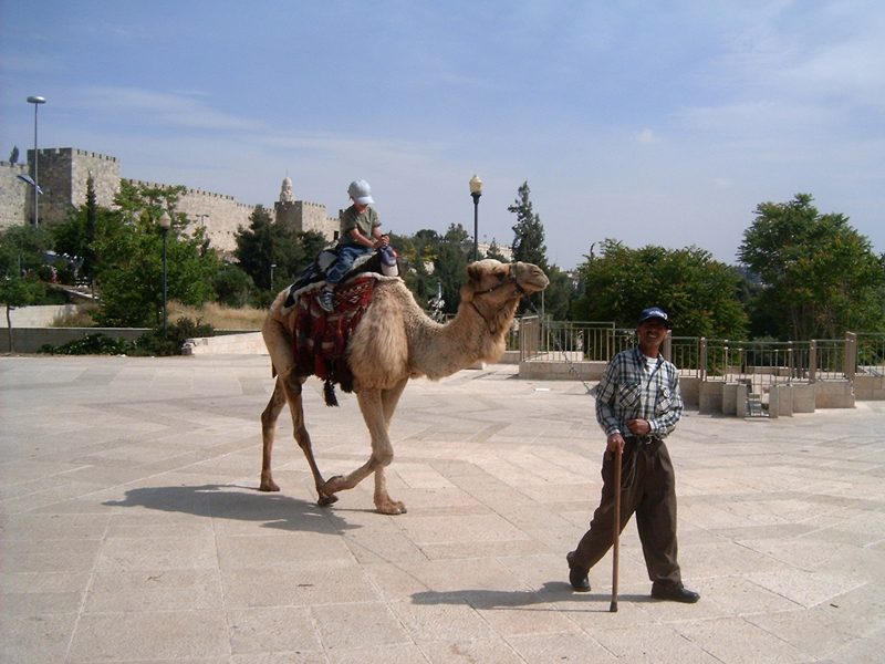 20050430_322_Israel_W._Jerusalem_The_Angry_Camel_001