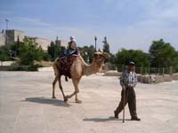 20050430_322_Israel_W._Jerusalem_The_Angry_Camel_001