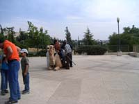 20050430_322_Israel_W._Jerusalem_The_Angry_Camel_006