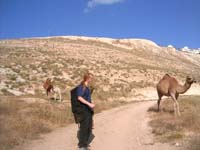 20050503_351_Israel_E._Jerusalem_Mount_of_Olives_to_Jericho_Walk_049_Camels_&_Misop